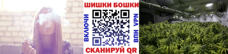 МЕФ Мамадыш