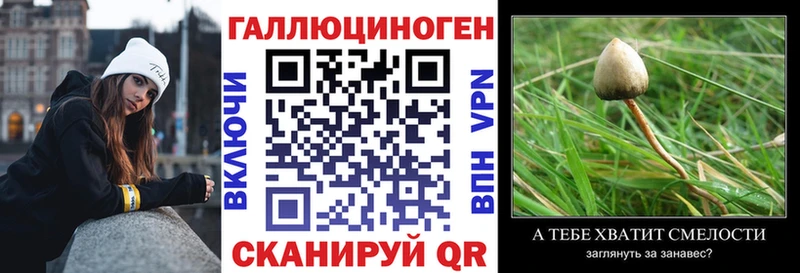Галлюциногенные грибы ЛСД  Купить где  Мамадыш 